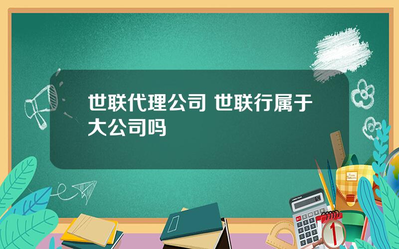 世联代理公司 世联行属于大公司吗